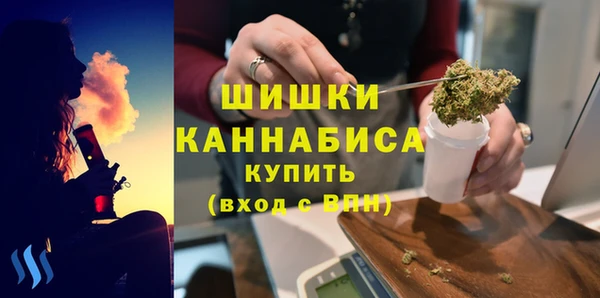 ешки Новодвинск