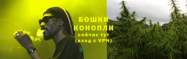 ешки Новодвинск