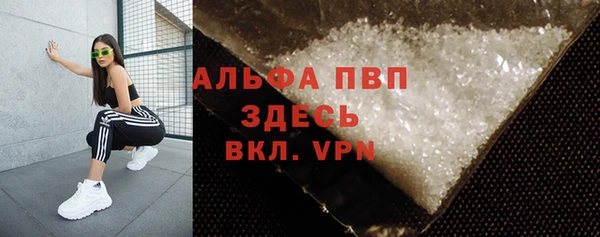 ешки Новодвинск