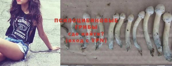 СК Нязепетровск