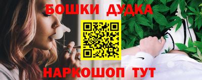 Альфа ПВП Дубна