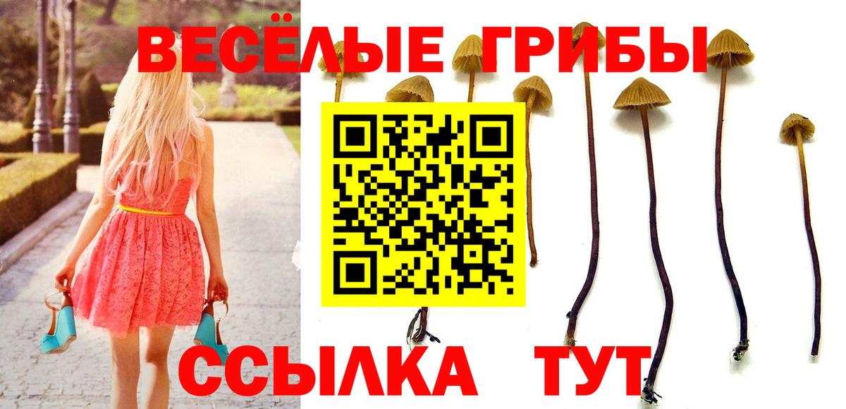Codein Каспийск